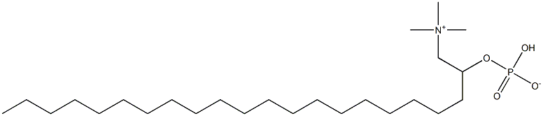 eicosanylphosphocholine Struktur