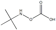 tert-butylaminocarbonate Struktur