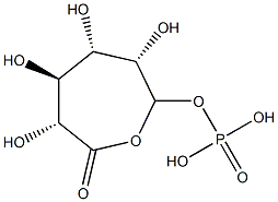 6-phosphogluconolactone Struktur