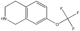 7-(trifluoromethoxy)-1,2,3,4-tetrahydroisoquinoline Struktur