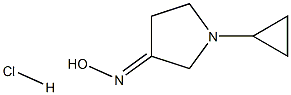 (3E)-1-CYCLOPROPYLPYRROLIDIN-3-ONE OXIME HYDROCHLORIDE Struktur