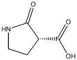 (R)-2-PYRROLIDINONE-3-CARBOXYLIC ACID Struktur