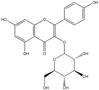 KAEMPFEROL-3-GLUCOSIDE 97 % Struktur