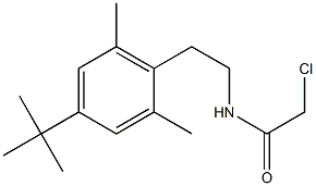 N-[2-(4-tert-butyl-2,6-dimethylphenyl)ethyl]-2-chloroacetamide Struktur