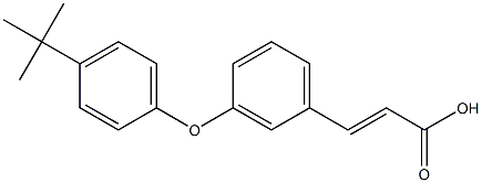 (E)-3-(3-(4-tert-butylphenoxy)phenyl)acrylic acid Struktur