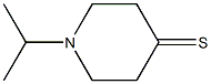 1-isopropylpiperidine-4-thione Struktur