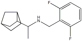 (1-{bicyclo[2.2.1]heptan-2-yl}ethyl)[(2,6-difluorophenyl)methyl]amine Struktur