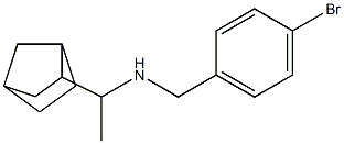 (1-{bicyclo[2.2.1]heptan-2-yl}ethyl)[(4-bromophenyl)methyl]amine Struktur