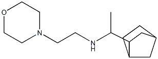 (1-{bicyclo[2.2.1]heptan-2-yl}ethyl)[2-(morpholin-4-yl)ethyl]amine Struktur