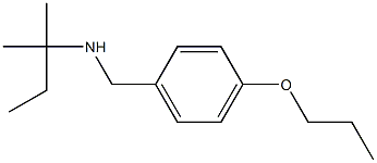 (2-methylbutan-2-yl)[(4-propoxyphenyl)methyl]amine Struktur