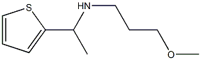 (3-methoxypropyl)[1-(thiophen-2-yl)ethyl]amine Struktur