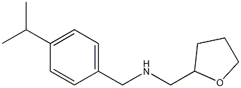 (oxolan-2-ylmethyl)({[4-(propan-2-yl)phenyl]methyl})amine Struktur