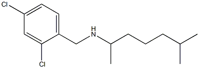 [(2,4-dichlorophenyl)methyl](6-methylheptan-2-yl)amine Struktur