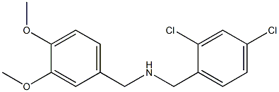 [(2,4-dichlorophenyl)methyl][(3,4-dimethoxyphenyl)methyl]amine Struktur