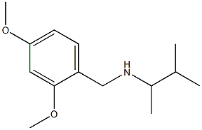 [(2,4-dimethoxyphenyl)methyl](3-methylbutan-2-yl)amine Struktur