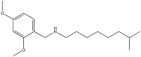 [(2,4-dimethoxyphenyl)methyl](7-methyloctyl)amine Struktur