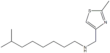 [(2-methyl-1,3-thiazol-4-yl)methyl](7-methyloctyl)amine Struktur