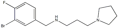 [(3-bromo-4-fluorophenyl)methyl][3-(pyrrolidin-1-yl)propyl]amine Struktur