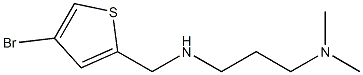 [(4-bromothiophen-2-yl)methyl][3-(dimethylamino)propyl]amine Struktur