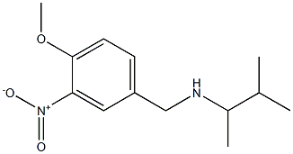 [(4-methoxy-3-nitrophenyl)methyl](3-methylbutan-2-yl)amine Struktur