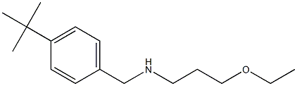 [(4-tert-butylphenyl)methyl](3-ethoxypropyl)amine Struktur