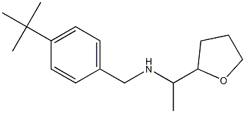 [(4-tert-butylphenyl)methyl][1-(oxolan-2-yl)ethyl]amine Struktur