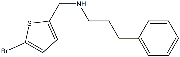 [(5-bromothiophen-2-yl)methyl](3-phenylpropyl)amine Struktur