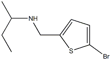 [(5-bromothiophen-2-yl)methyl](butan-2-yl)amine Struktur