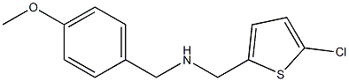 [(5-chlorothiophen-2-yl)methyl][(4-methoxyphenyl)methyl]amine Struktur