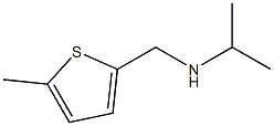 [(5-methylthiophen-2-yl)methyl](propan-2-yl)amine Struktur