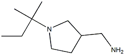 [1-(1,1-dimethylpropyl)pyrrolidin-3-yl]methylamine Struktur