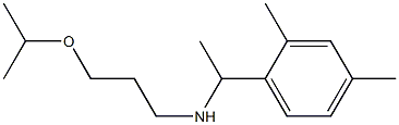 [1-(2,4-dimethylphenyl)ethyl][3-(propan-2-yloxy)propyl]amine Struktur