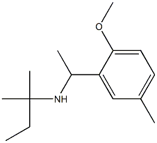 [1-(2-methoxy-5-methylphenyl)ethyl](2-methylbutan-2-yl)amine Struktur