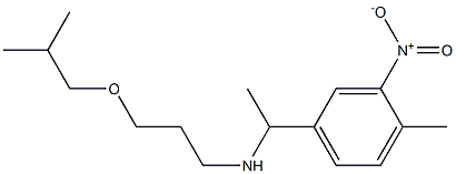 [1-(4-methyl-3-nitrophenyl)ethyl][3-(2-methylpropoxy)propyl]amine Struktur