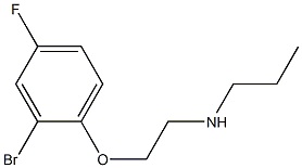 [2-(2-bromo-4-fluorophenoxy)ethyl](propyl)amine Struktur