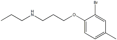 [3-(2-bromo-4-methylphenoxy)propyl](propyl)amine Struktur