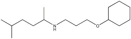 [3-(cyclohexyloxy)propyl](5-methylhexan-2-yl)amine Struktur