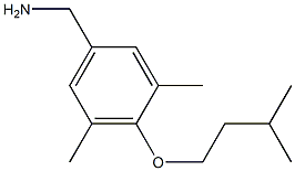 [3,5-dimethyl-4-(3-methylbutoxy)phenyl]methanamine Struktur