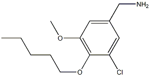 [3-chloro-5-methoxy-4-(pentyloxy)phenyl]methanamine Struktur