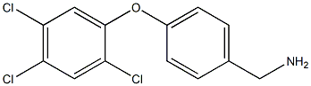 [4-(2,4,5-trichlorophenoxy)phenyl]methanamine Struktur