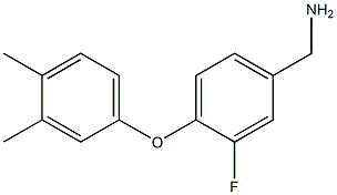 [4-(3,4-dimethylphenoxy)-3-fluorophenyl]methanamine Struktur