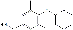 [4-(cyclohexyloxy)-3,5-dimethylphenyl]methanamine Struktur