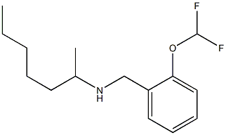 {[2-(difluoromethoxy)phenyl]methyl}(heptan-2-yl)amine Struktur