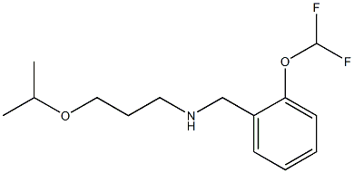 {[2-(difluoromethoxy)phenyl]methyl}[3-(propan-2-yloxy)propyl]amine Struktur