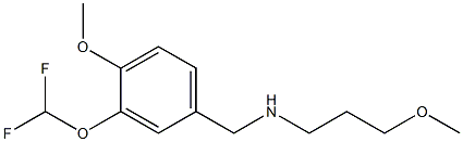 {[3-(difluoromethoxy)-4-methoxyphenyl]methyl}(3-methoxypropyl)amine Struktur