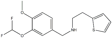 {[3-(difluoromethoxy)-4-methoxyphenyl]methyl}[2-(thiophen-2-yl)ethyl]amine Struktur