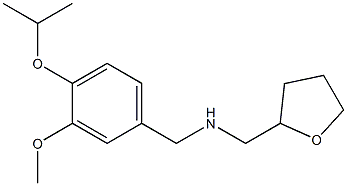 {[3-methoxy-4-(propan-2-yloxy)phenyl]methyl}(oxolan-2-ylmethyl)amine Struktur