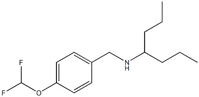 {[4-(difluoromethoxy)phenyl]methyl}(heptan-4-yl)amine Struktur