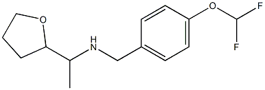 {[4-(difluoromethoxy)phenyl]methyl}[1-(oxolan-2-yl)ethyl]amine Struktur