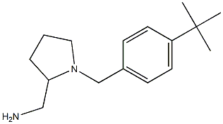 {1-[(4-tert-butylphenyl)methyl]pyrrolidin-2-yl}methanamine Struktur